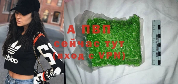 амф Аркадак